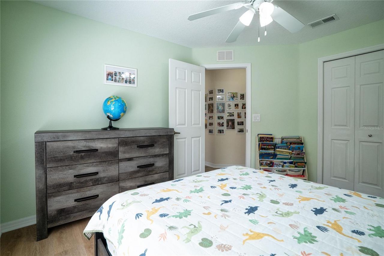 8435 Basuto Drive, Trinity, FL 34655 Photo