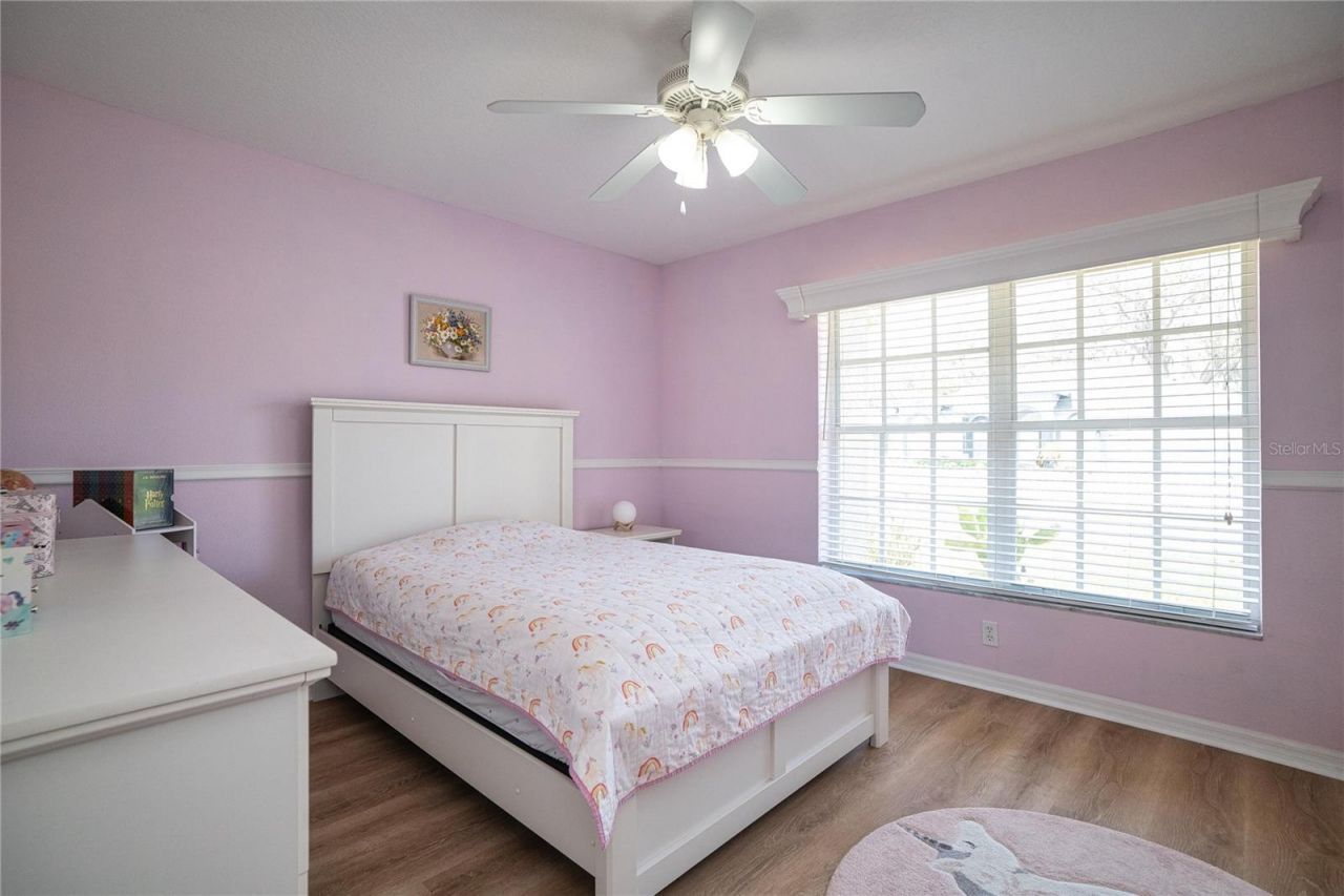 8435 Basuto Drive, Trinity, FL 34655 Photo