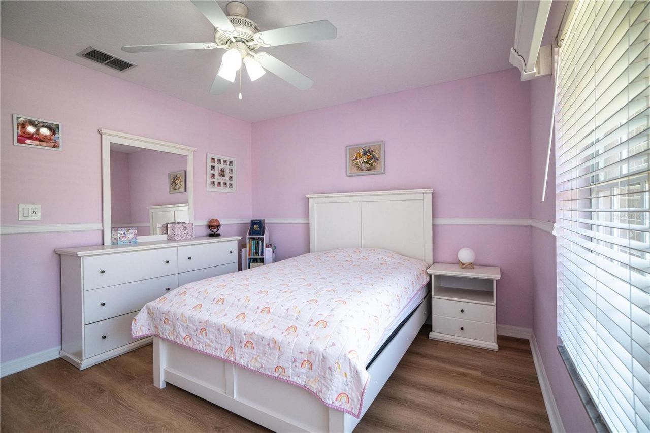 8435 Basuto Drive, Trinity, FL 34655 Photo