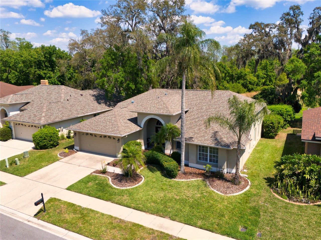 8435 Basuto Drive, Trinity, FL 34655 Photo