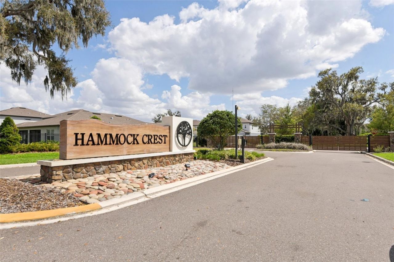 11473 Owasee Trails Place, Riverview, FL 33569 Photo