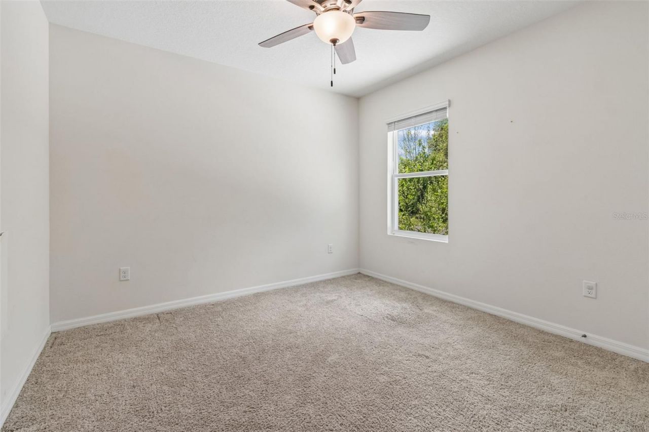 9124 Water Chestnut Drive , Temple Terrace, FL 33637 Photo