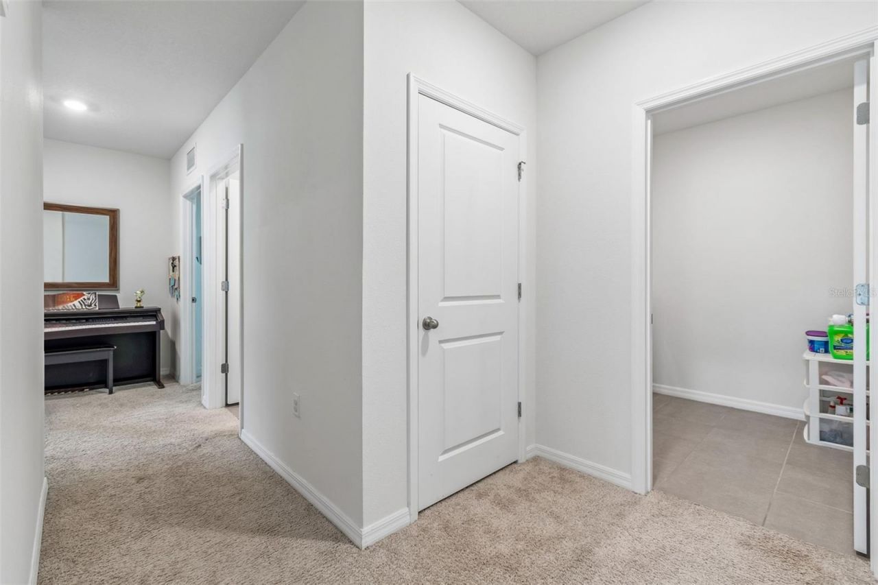 9124 Water Chestnut Drive , Temple Terrace, FL 33637 Photo