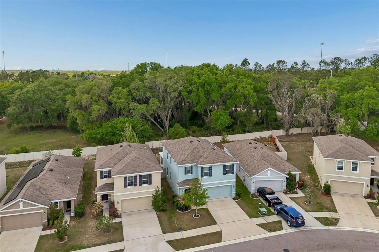 9124 Water Chestnut Drive , Temple Terrace, FL 33637 Photo