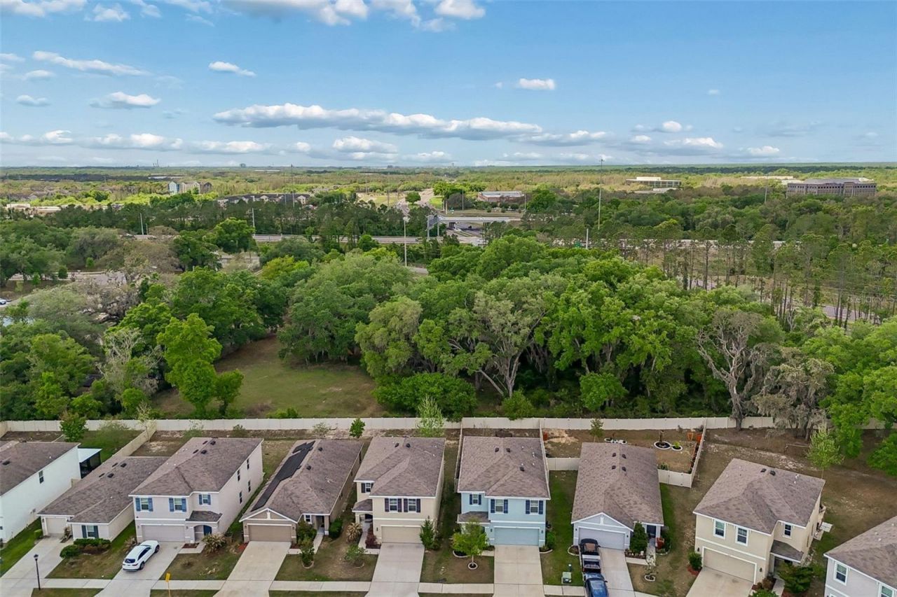 9124 Water Chestnut Drive , Temple Terrace, FL 33637 Photo