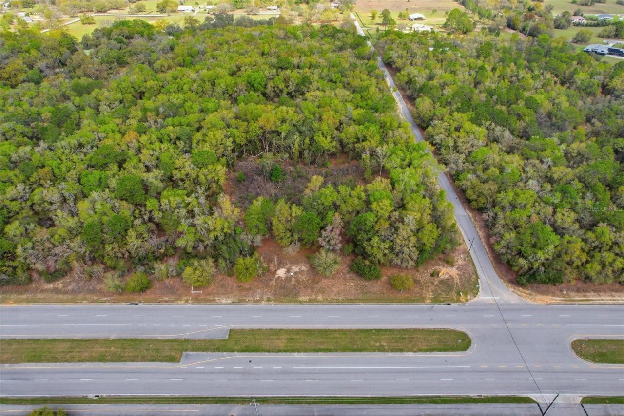 161 W Norvell Bryant Highway, Hernando, FL 34442 Photo