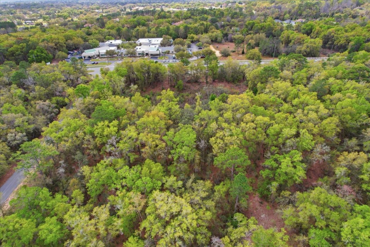 161 W Norvell Bryant Highway , Hernando, FL 34442 Photo