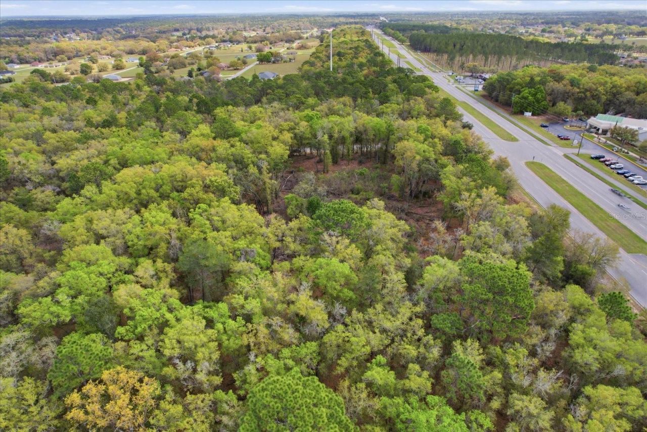 161 W Norvell Bryant Highway, Hernando, FL 34442 Photo