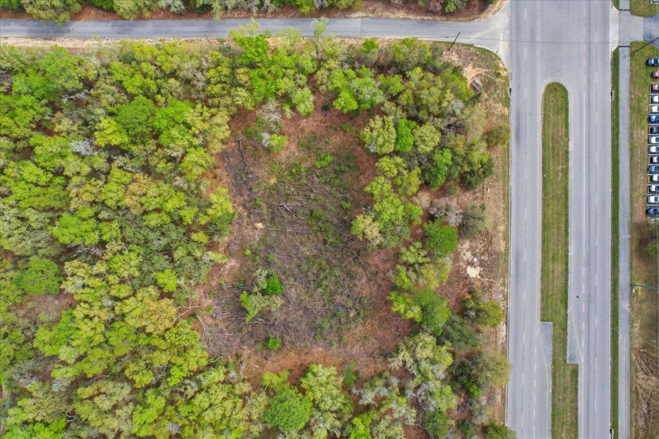 161 W Norvell Bryant Highway , Hernando, FL 34442 Photo