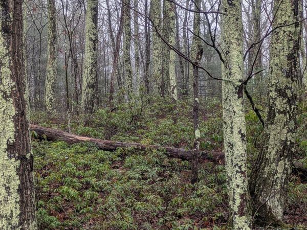 97 Otens Road, Wawarsing, NY 12489