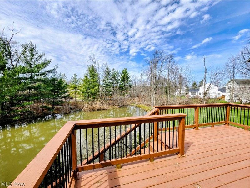 107 Cedar, Chardon, OH 44024 Photo 42