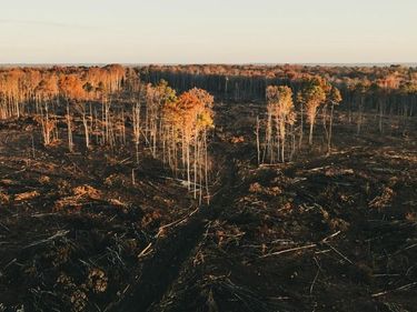 12600 W CATHARPIN ROAD, SPOTSYLVANIA, VA 22551