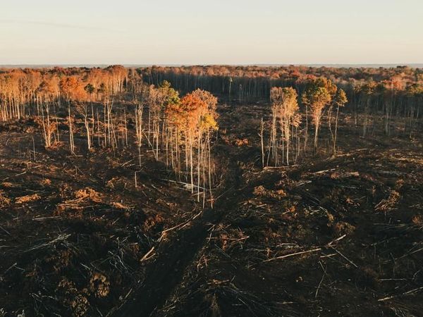 12600 W CATHARPIN ROAD, SPOTSYLVANIA, VA 22551