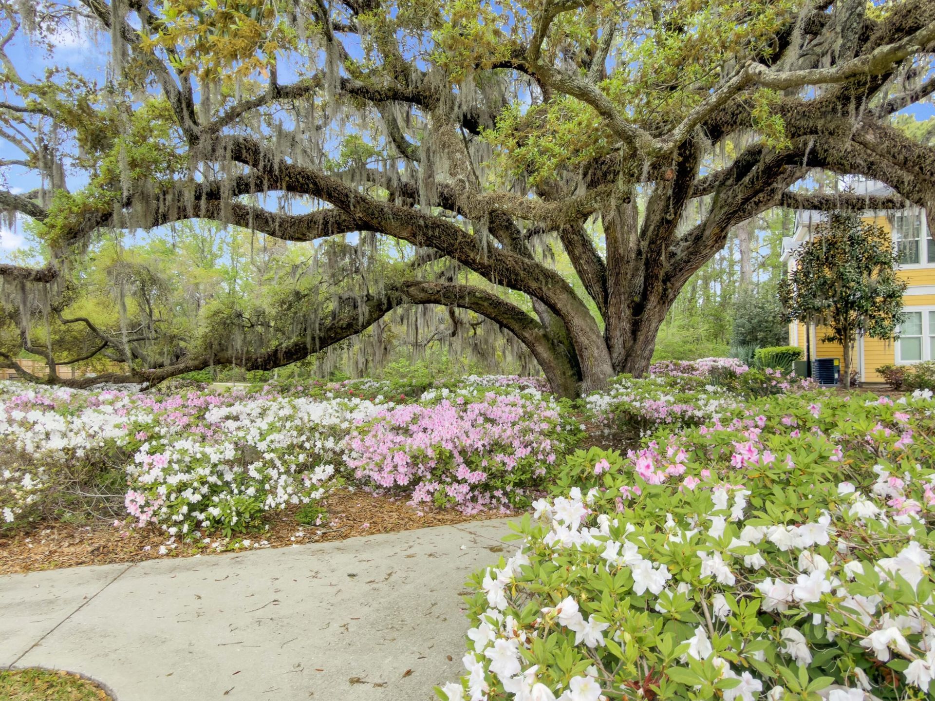 2432 Chatelain Way Photo 18