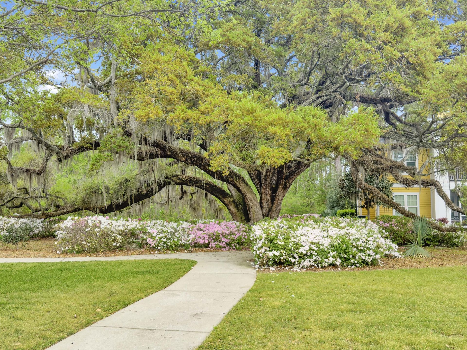 2432 Chatelain Way Photo 25