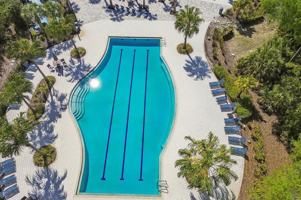 4241 Amped Way , Land O Lakes, FL 34638 Photo