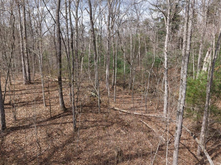 Property Image 62