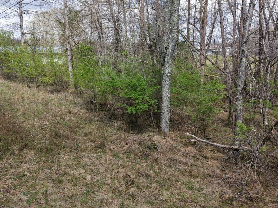 Property Image 76