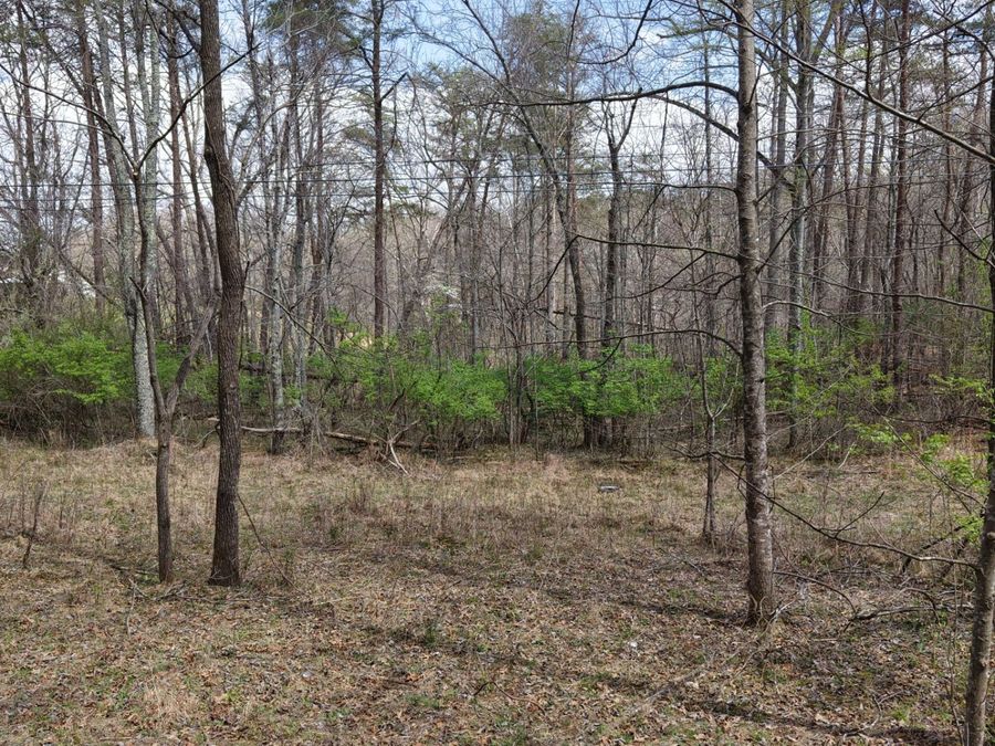 Property Image 81