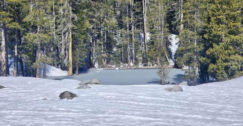 50926 Conifer Dr, Soda Springs, CA 95728 Photo