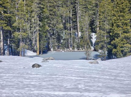 50926 Conifer Dr, Soda Springs, CA 95728 Photo