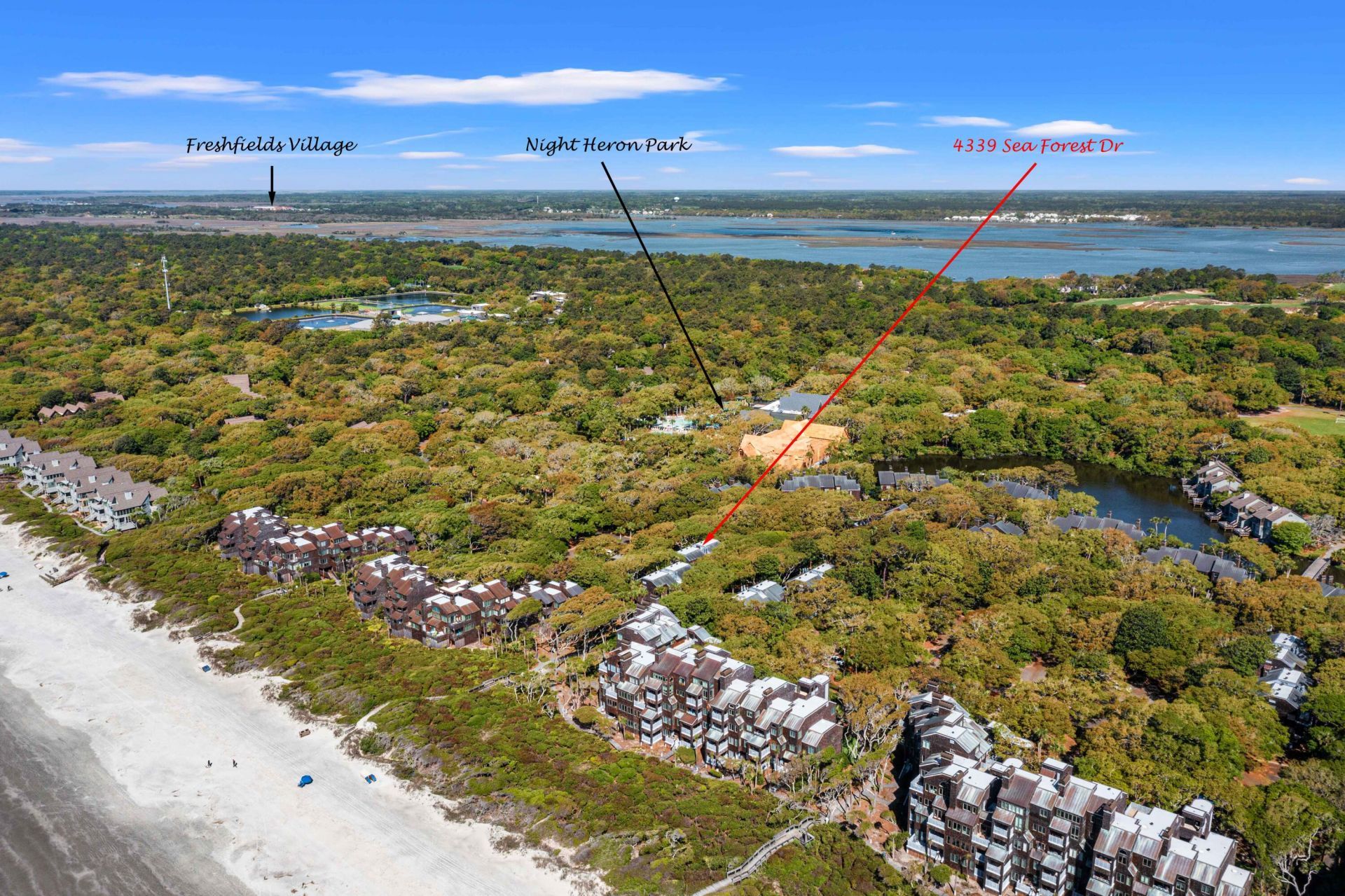 4339 Sea Forest Drive Photo 36