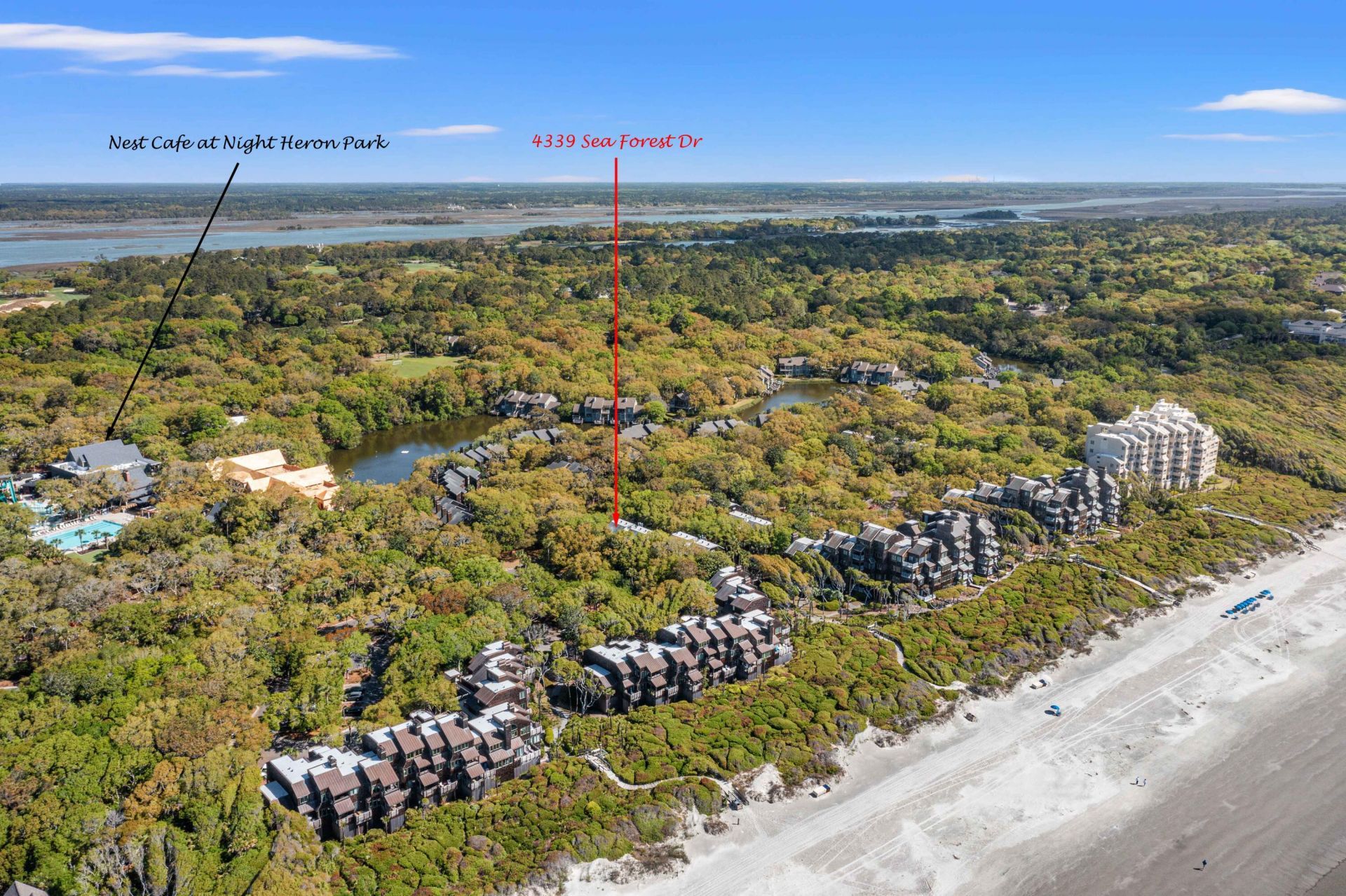 4339 Sea Forest Drive Photo 37