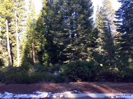 115 Foxhollow Drive, Lot #FH, Lake Almanor, CA 96137 Photo