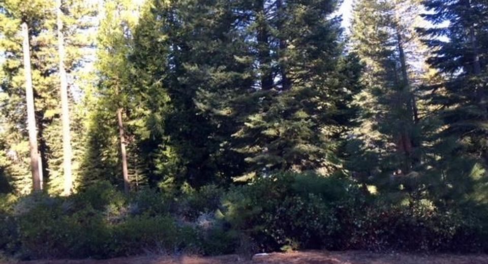 115 Foxhollow Drive, Lot #FH, Lake Almanor, CA 96137 Photo