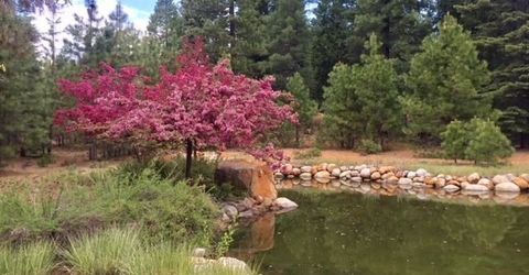 115 Foxhollow Drive, Lot #FH, Lake Almanor, CA 96137 Photo