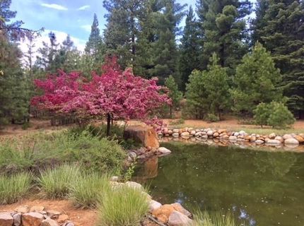 115 Foxhollow Drive, Lot #FH, Lake Almanor, CA 96137 Photo