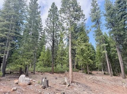115 Foxhollow Drive, Lot #FH, Lake Almanor, CA 96137 Photo