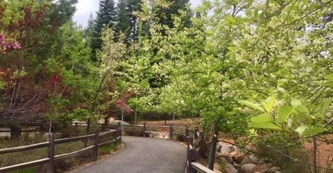 115 Foxhollow Drive, Lot #FH, Lake Almanor, CA 96137 Photo