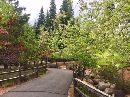 115 Foxhollow Drive, Lot #FH, Lake Almanor, CA 96137 Photo