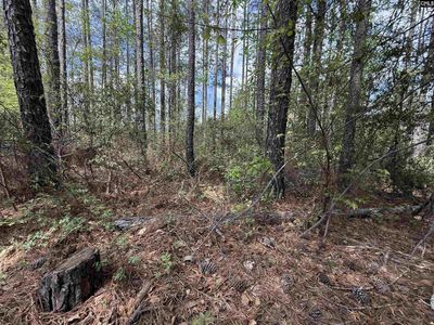 116 High Pointe Drive , Blythewood, SC 29016