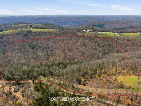 000 Bray Mines Road, Oldfield, MO 65720