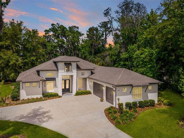 1003 SE 46TH STREET, OCALA, FL 34480