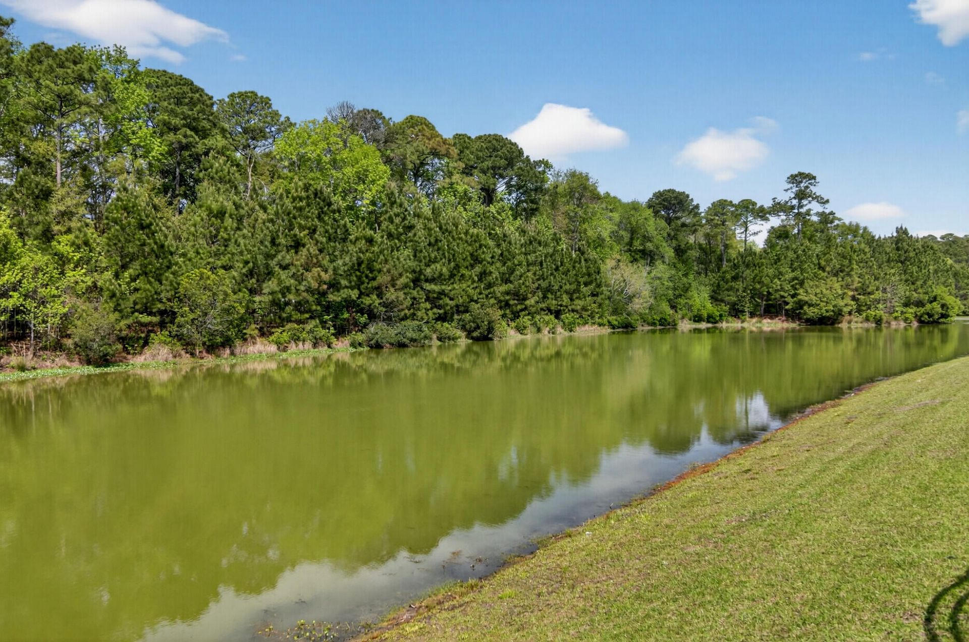 3509 Great Egret Drive Photo 11