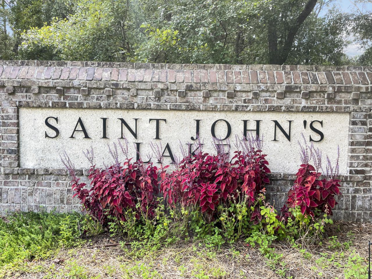 3509 Great Egret Drive Photo 60