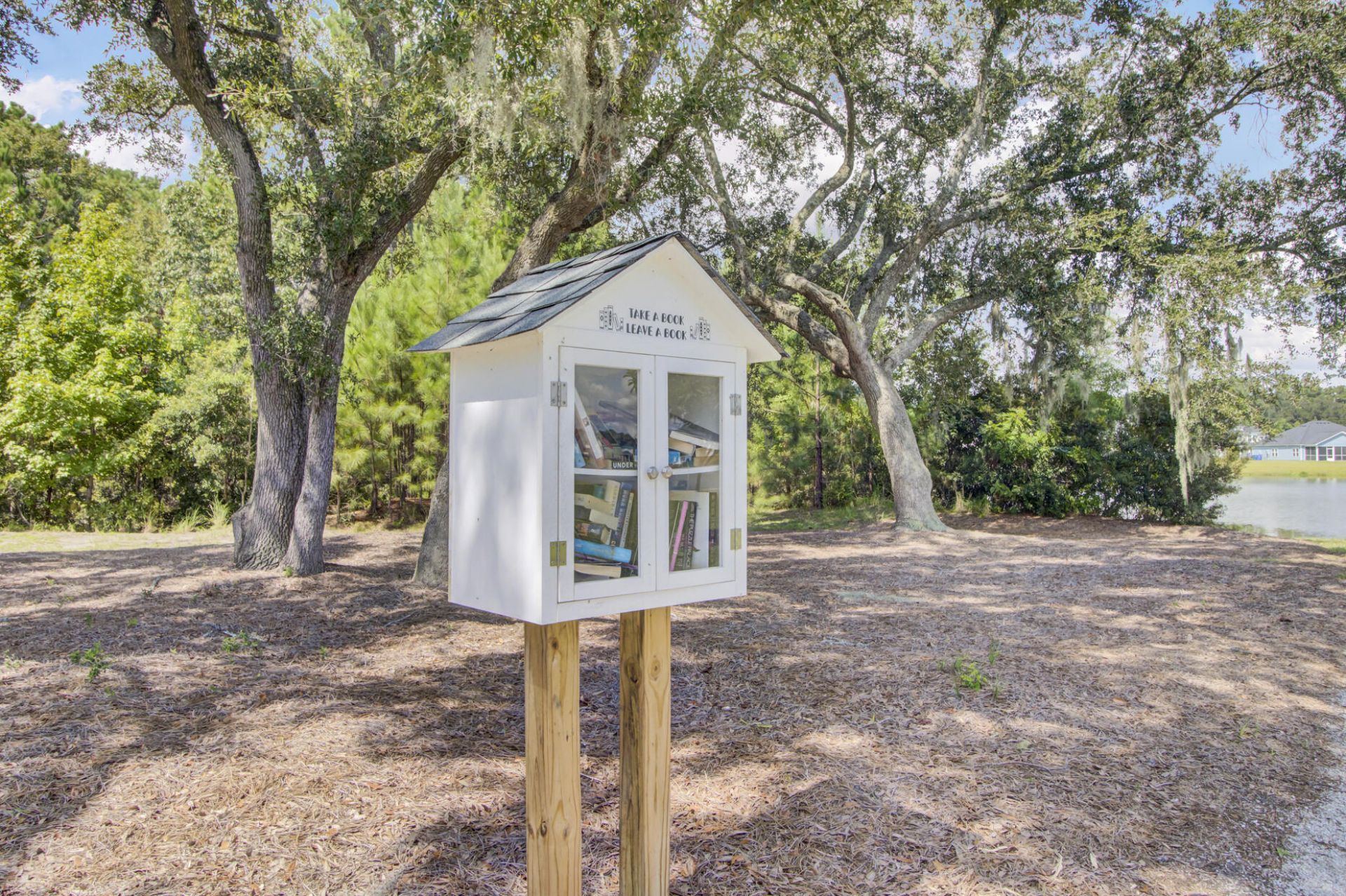 3509 Great Egret Drive Photo 66