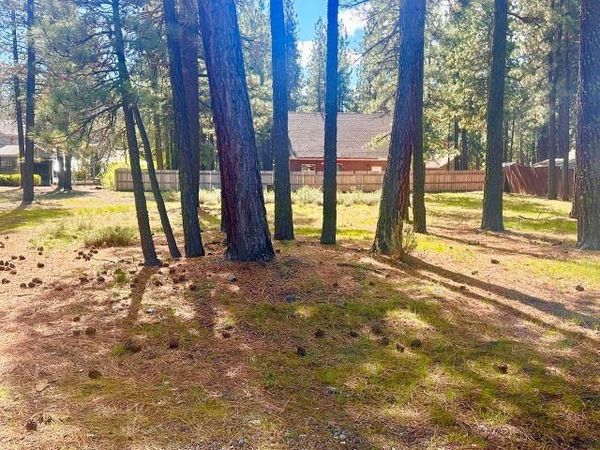 244 Watson Road, Chester, CA 96020