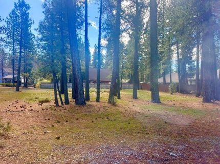 244 Watson Road, Chester, CA 96020 Photo