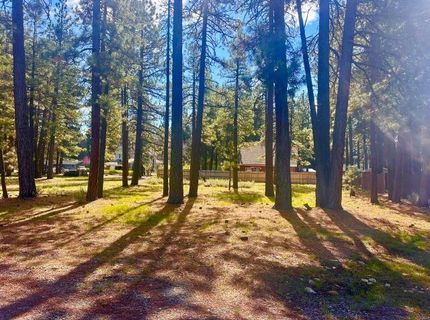 244 Watson Road, Chester, CA 96020 Photo