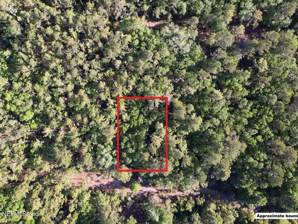 329 CHIPOLA Drive, Georgetown, FL 32139