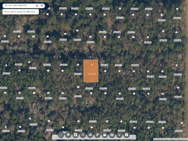 329 CHIPOLA Drive, Georgetown, FL 32139