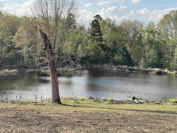 4109 W Creek Road, Ozark, AR 72949