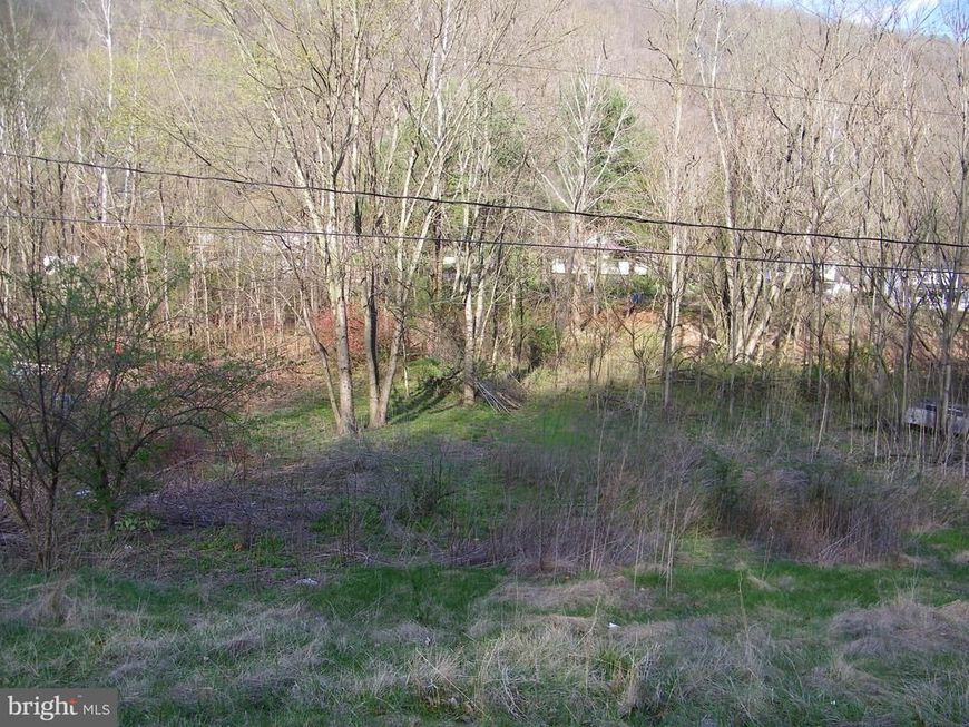 Route 36 Road, Westernport, MD 21562 Main Photo