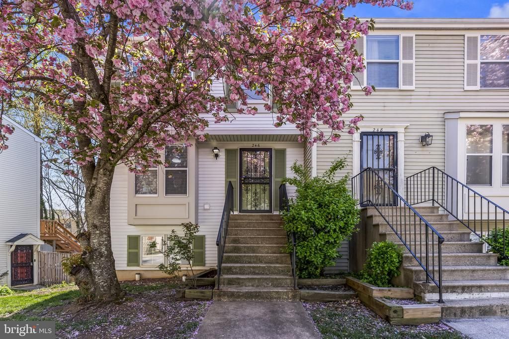 246 Red Jade Drive, Unit 13-5, Upper Marlboro, MD 20774 Main Photo