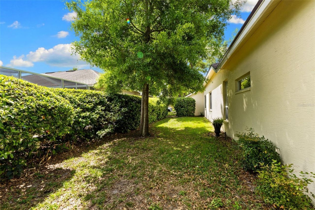 4647 Berwyn Court , Palm Harbor, FL 34685 Photo