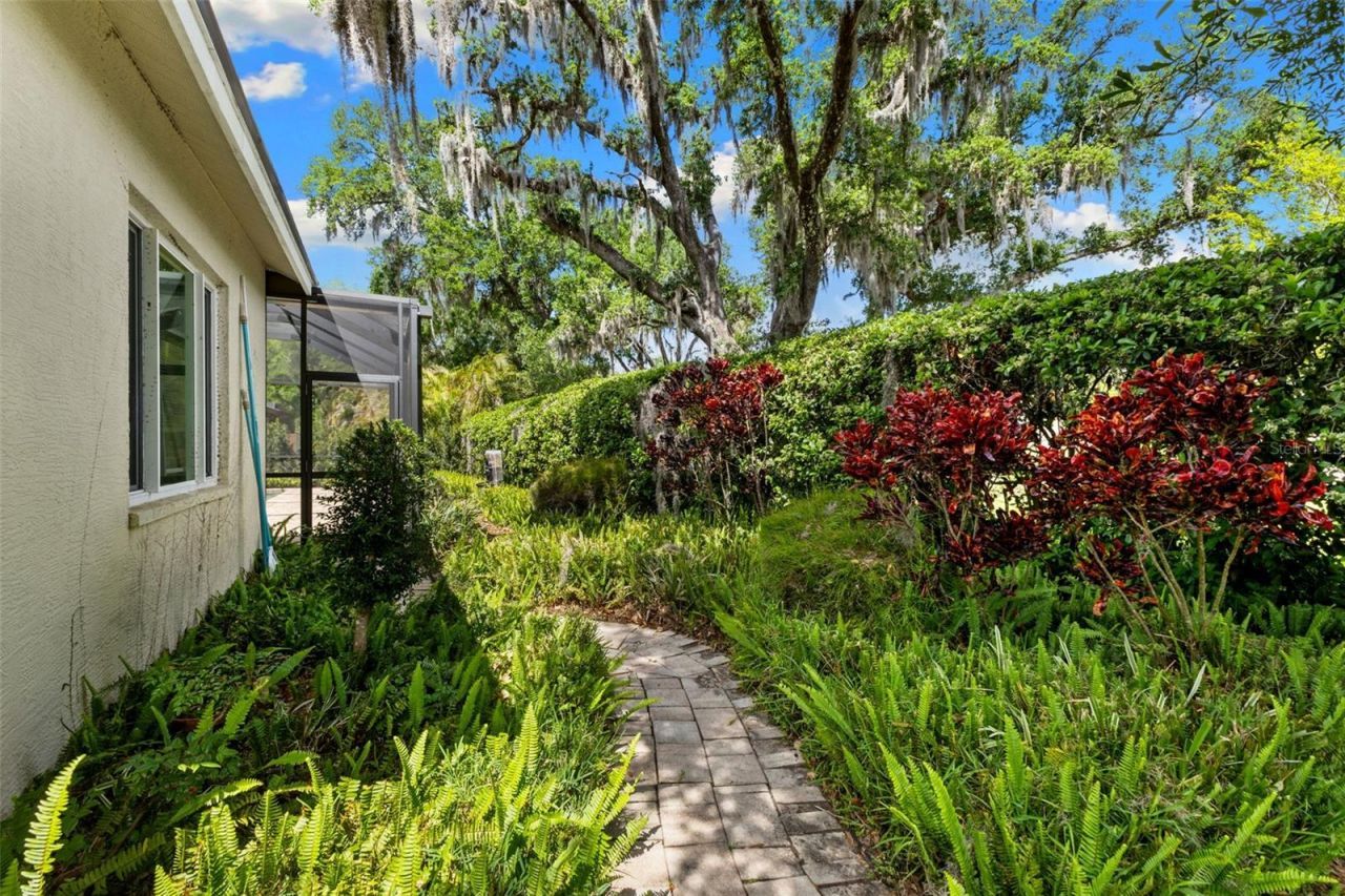 4647 Berwyn Court, Palm Harbor, FL 34685 Photo